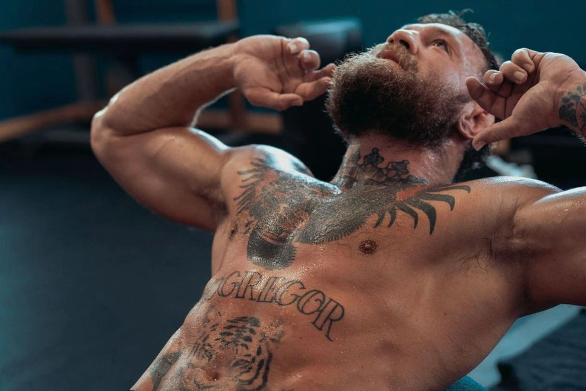 Shirtless Conor McGregor works out in the gym