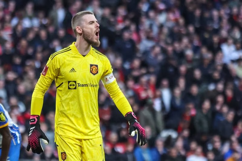 David de Gea Says Manchester United On 'Right Track' As Club Reach FA Cup Final